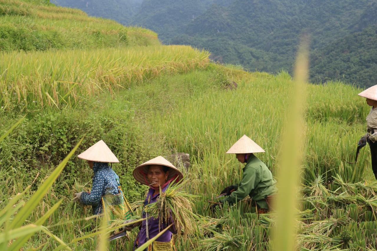 Pù Luông Ecolodge Esterno foto