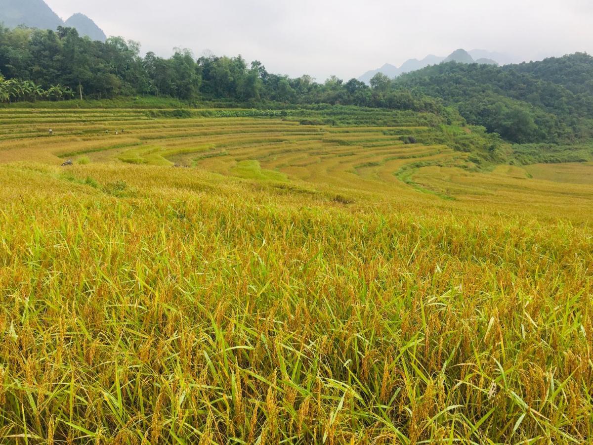 Pù Luông Ecolodge Esterno foto